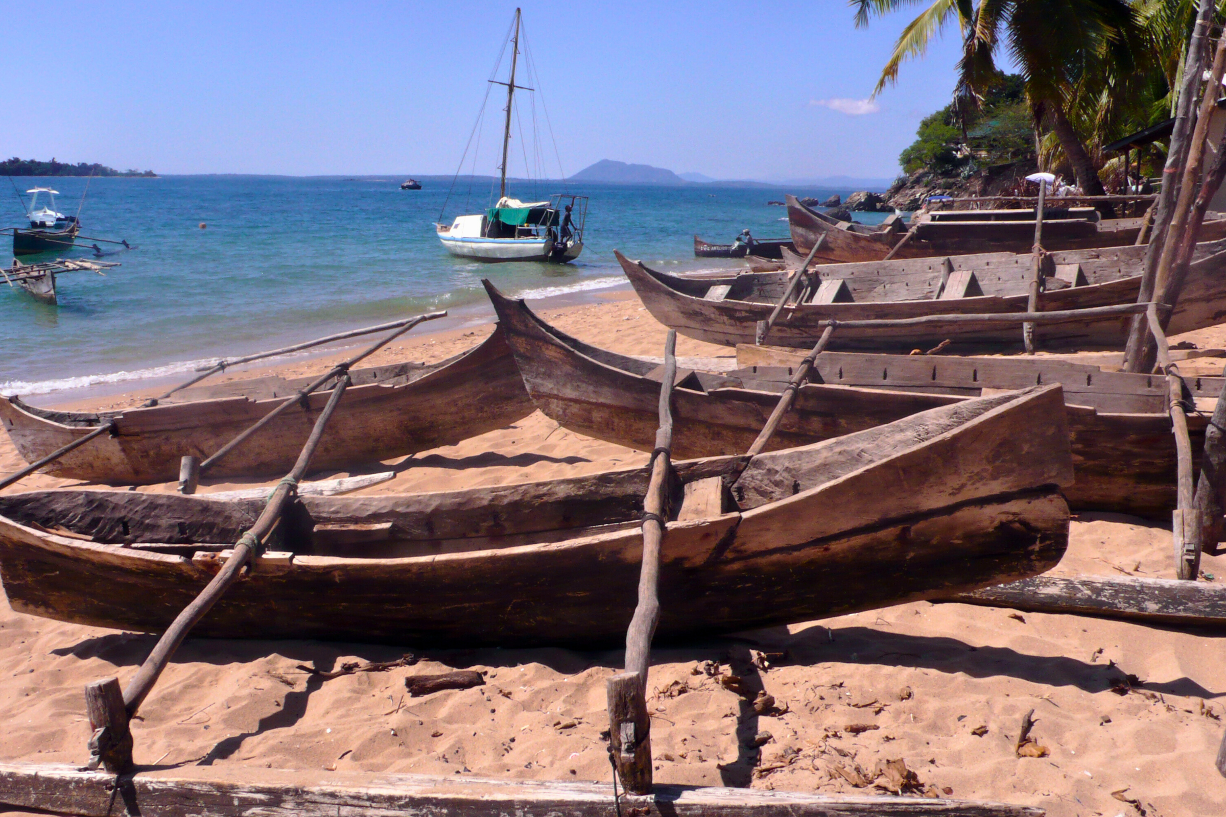 175 nosy komba.webp